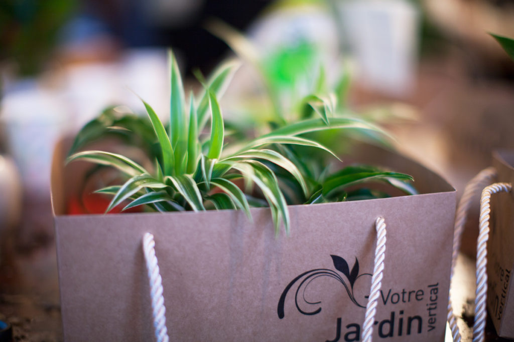 atelier jardinage Inkedgeek devient une vraie blogueuse