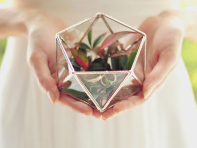 Geometric Mini Terrarium